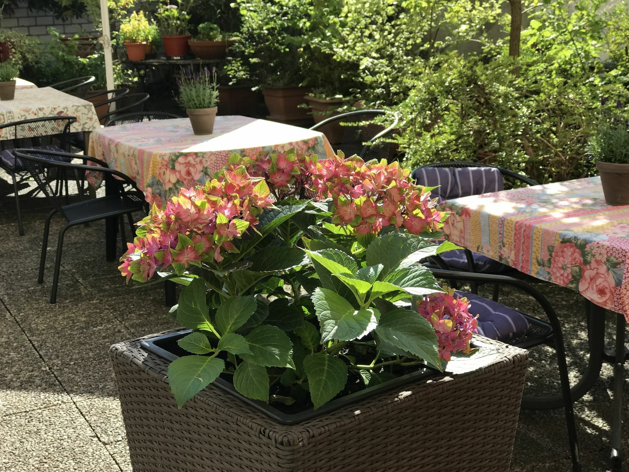 Hotel Cascade Superior Düsseldorf Eksteriør billede